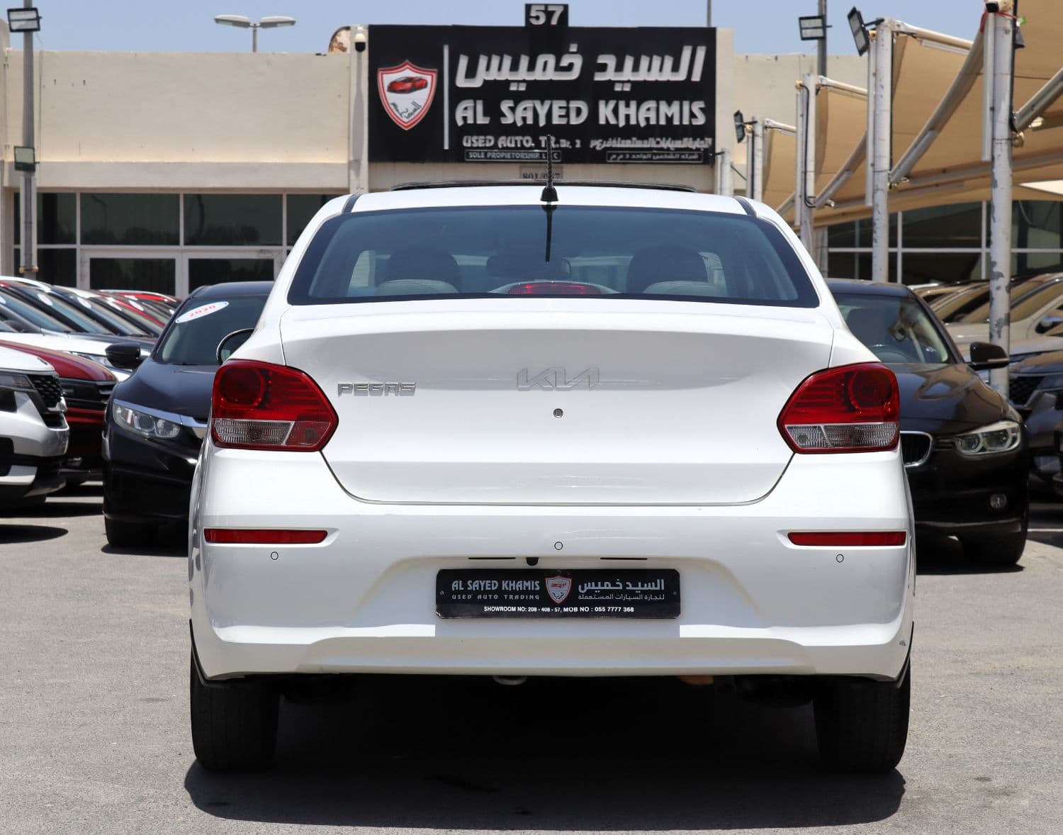 2023 Kia Pegas photo 5