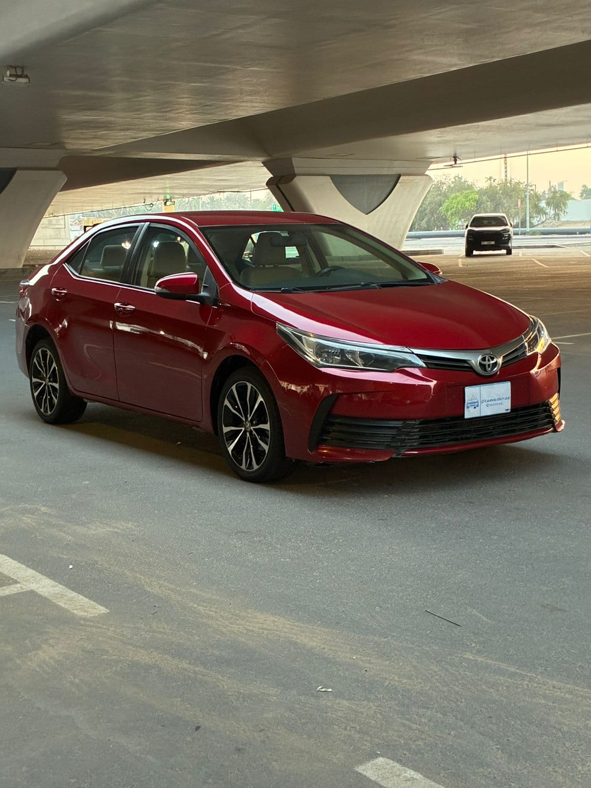 2019 Toyota Corolla photo 2