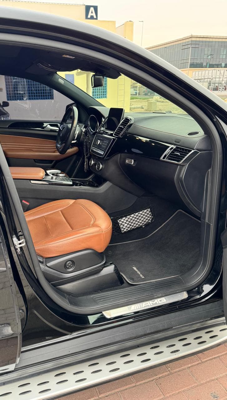 2019 Mercedes-Benz GLE photo 2