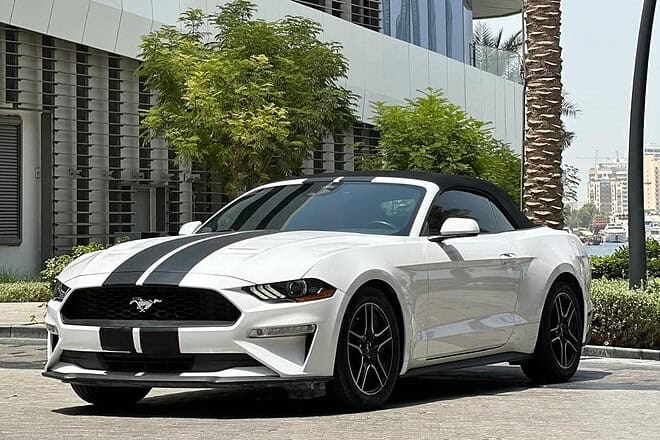 For Sale 2021 Ford Mustang EcoBoost Premium