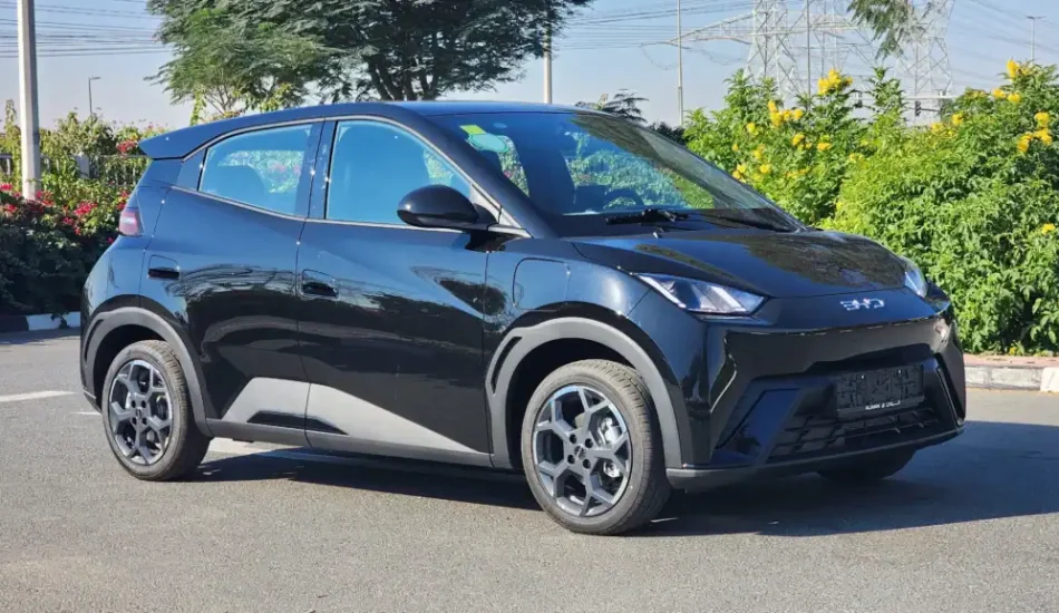 Sale Brand new 2024 BYD Seagull