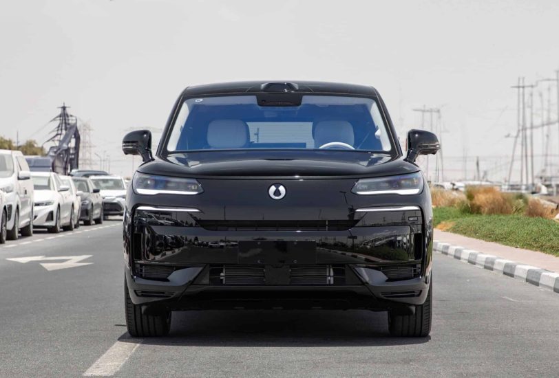 Buy New 2025 Denza N9