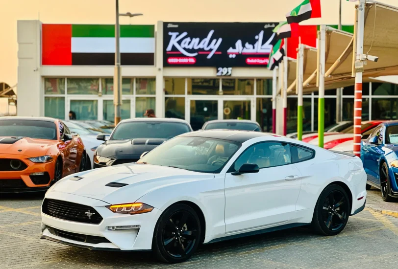 For Sale Ford Mustang EcoBoost Fastback 2023