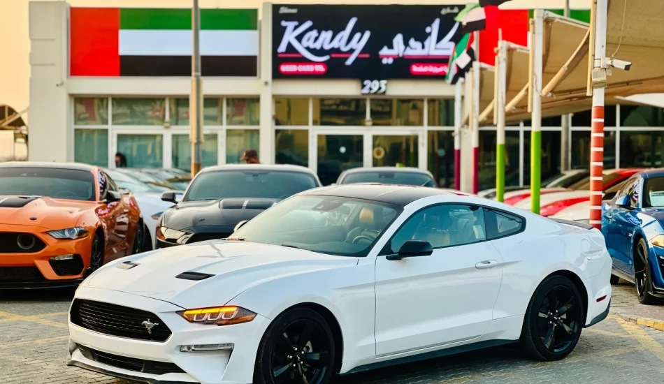 For Sale Ford Mustang EcoBoost Fastback 2023