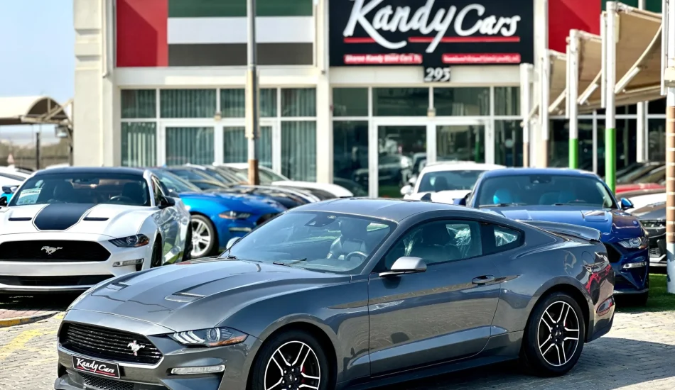 For Sale 2022 Ford Mustang EcoBoost American