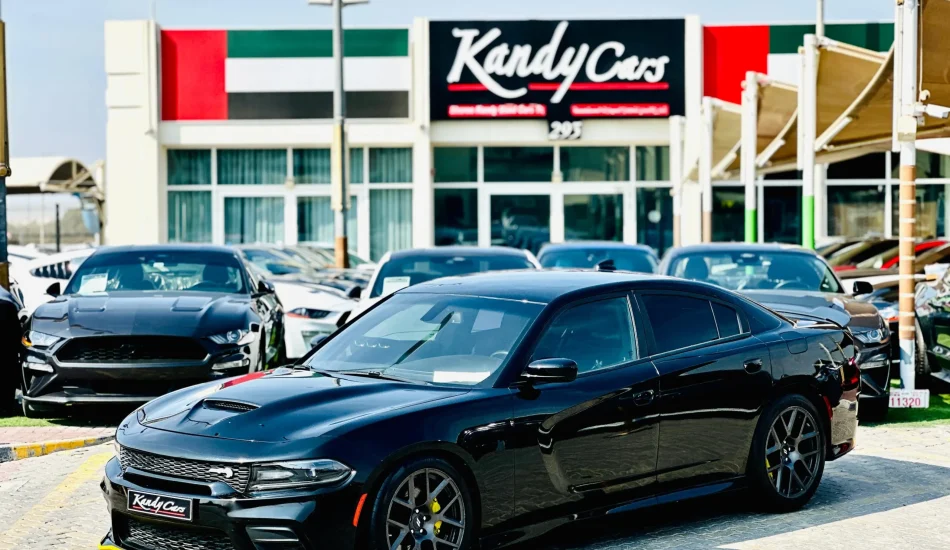 For Sale 2019 Dodge Charger ScatPack American