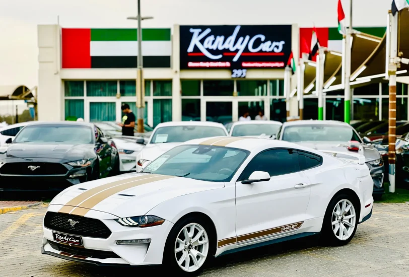 For Sale 2023 Ford Mustang EcoBoost Premium