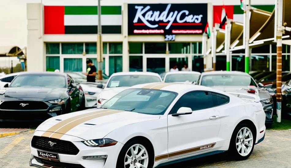 For Sale 2023 Ford Mustang EcoBoost Premium