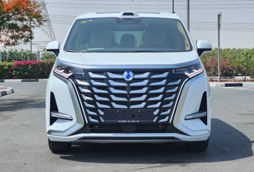 Brand New 2025 BYD Denza D9 AWD Luxury Van