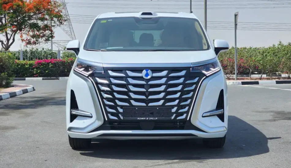Brand New 2025 BYD Denza D9 AWD Luxury Van