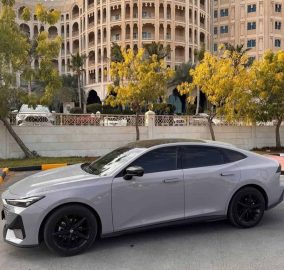 497649418 18508341193033740 6248885005420378623 n