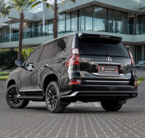 497784886 1181666900666724 5491102977912471470 n