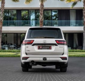 497934037 1181259097374171 4014762706641358444 n