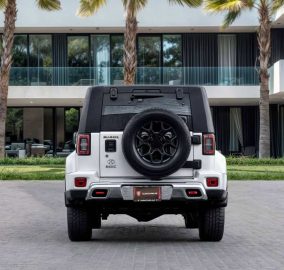 498275842 1181550557345025 6763167654198264426 n