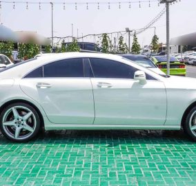 499515009 1157927969468096 2205365141712925956 n