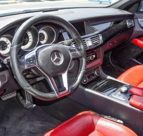 499526787 1157927972801429 1108163521627265207 n