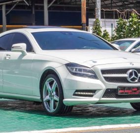 499537039 1157927966134763 3280770569074352342 n