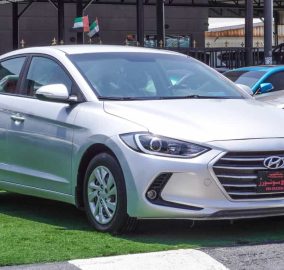 499560714 1157915872802639 3657690952374801620 n