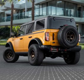 502849567 1196753072491440 2960681249675683528 n