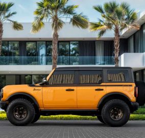 502950587 1196753019158112 1797383944504534143 n