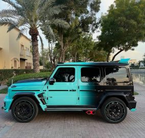 503058001 18515812354003898 2709426098631335463 n