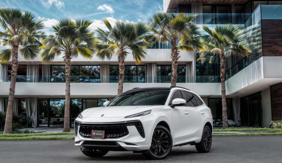 For Sale 2024 Dongfeng