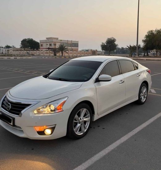 505440814 18514017250033740 4029869231303633538 n