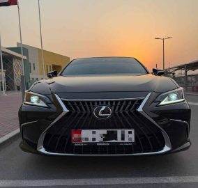 508833179 18515267806033740 4557708295713516125 n