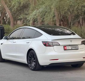 519625688 18511703200020800 4185372215538876558 n