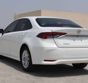 519680636 727063606909089 3183466378474289381 n