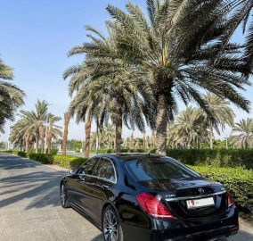 520091012 18520835785033740 1703647376209018457 n