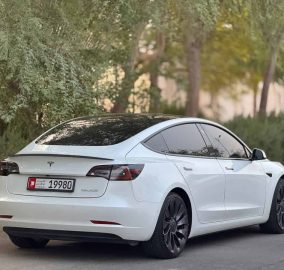 520256583 18511703155020800 589904579118865789 n