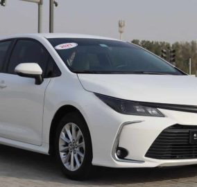 520303456 727063600242423 8848201654131010347 n