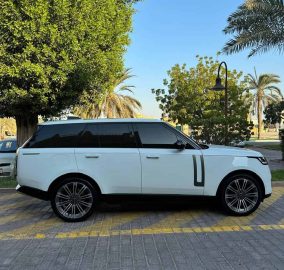 521681661 18521874796033740 386076960439073489 n