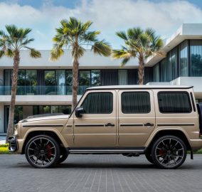 522392930 1241238334709580 3208290492156467325 n