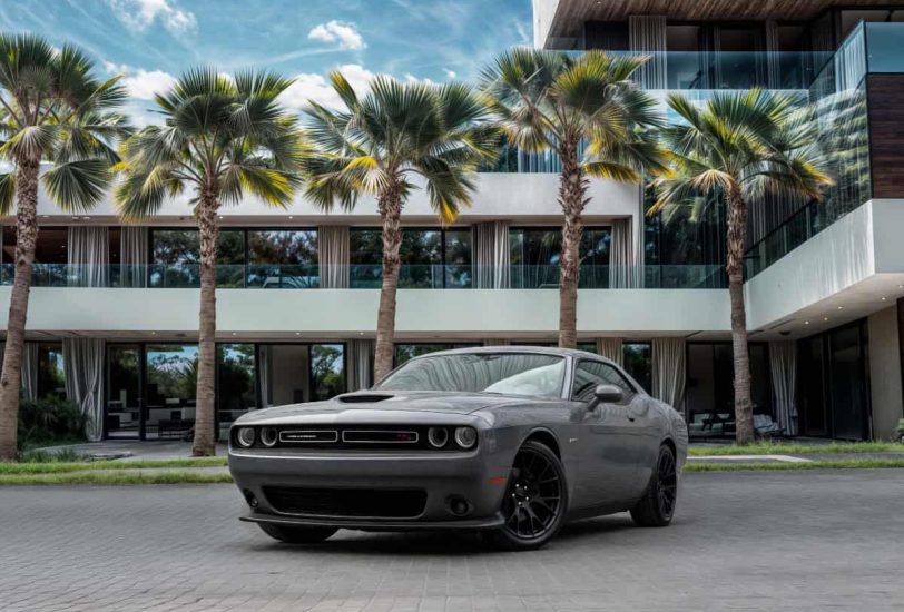 Sale 2019 Dodge Challenger R/T in Dubai
