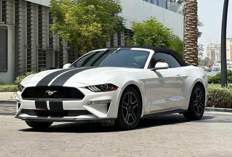 For Sale 2021 Ford Mustang EcoBoost Premium