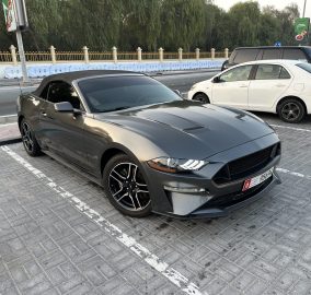 For Sale Mustang 2020 EcoBoost