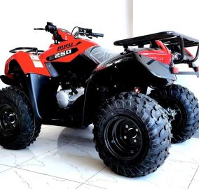 snapinsta.to 312194958 546438114198120 8965693793549282732 n