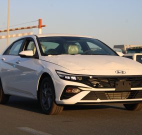 elantra 1.6l white (2) 1735544813