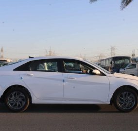 elantra 1.6l white (3) 1735544813