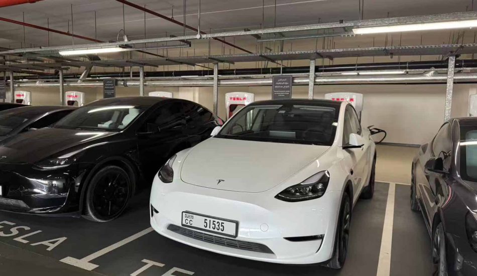 Used Tesla Model Y Long Range 2025 for Sale