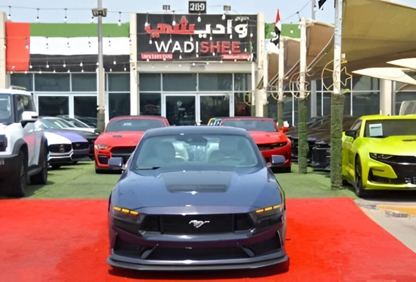 For Sale 2024 Ford Mustang GT 5.0L V8 Premium GT