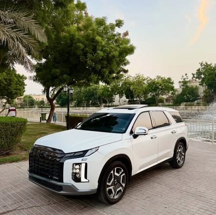 For Sale 2024 Hyundai Palisade in Dubai
